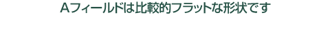 Aフィールドは比較的フラットな形状です